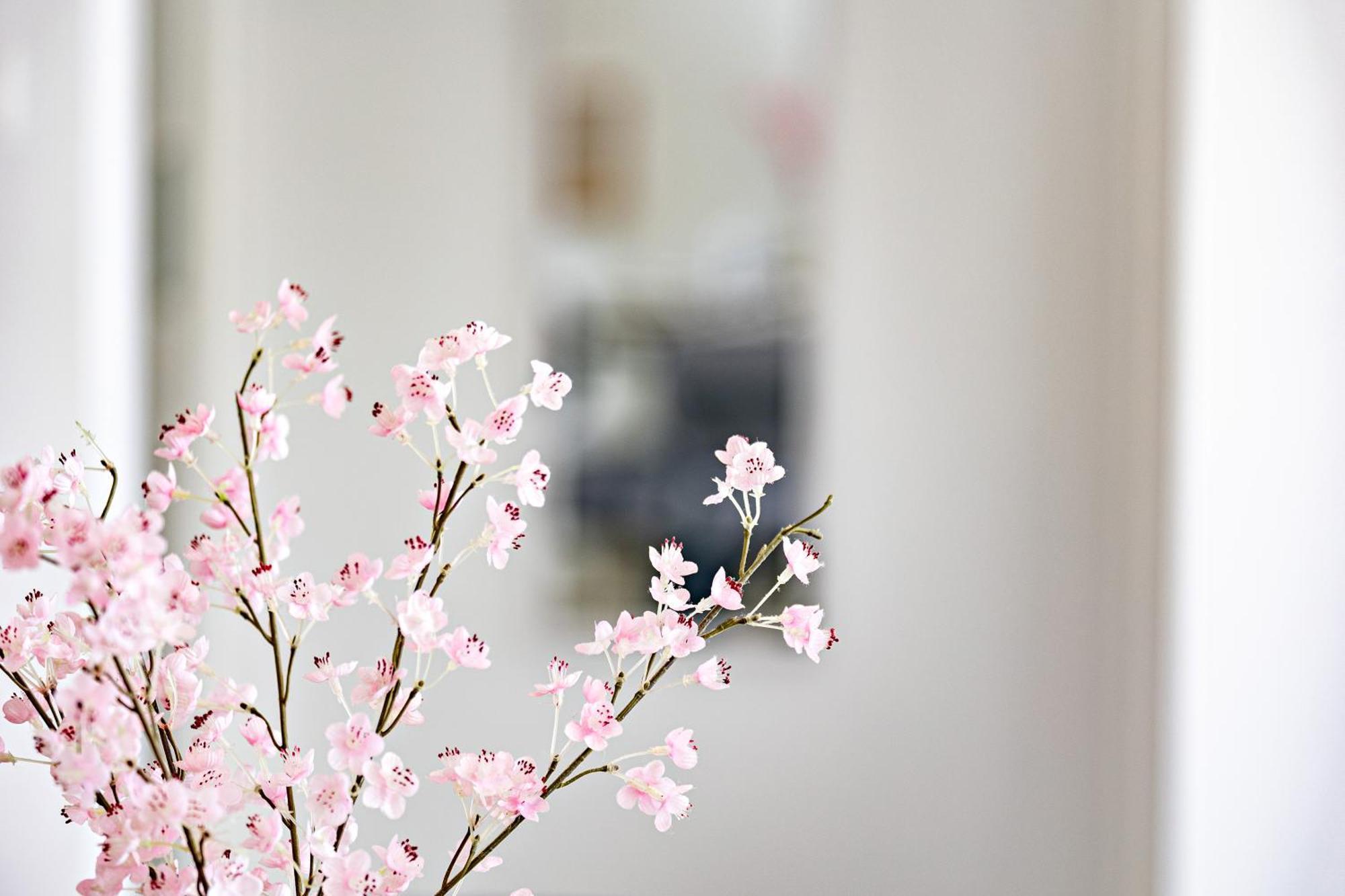 Villa Mery 贝济耶 外观 照片